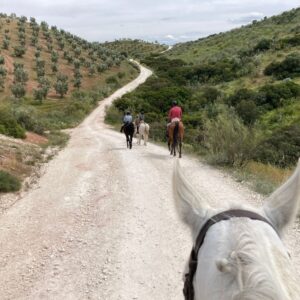 Ruta privada a caballo
